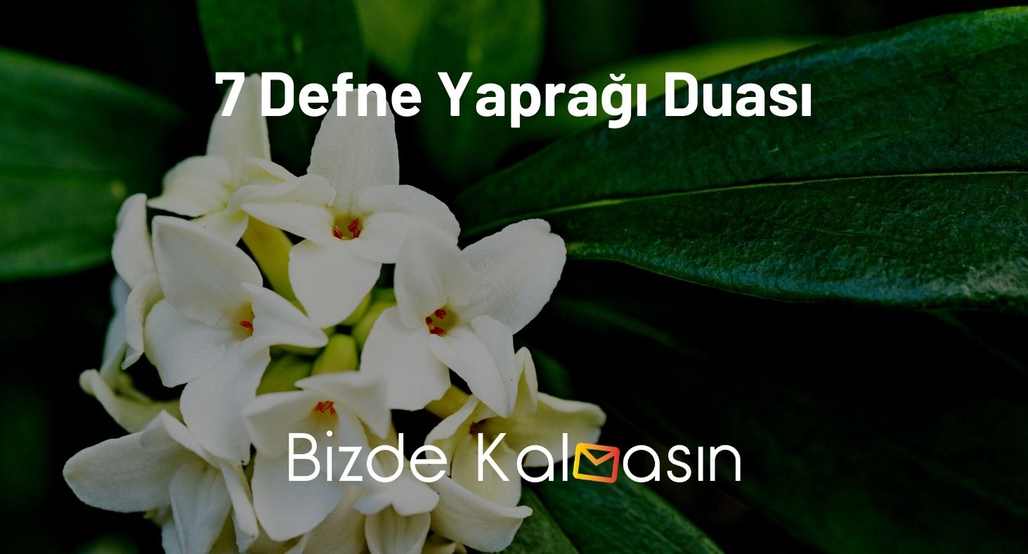 7 Defne Yaprağı Duası - Büyü Bozma 7 Defne Yaprağı Duası