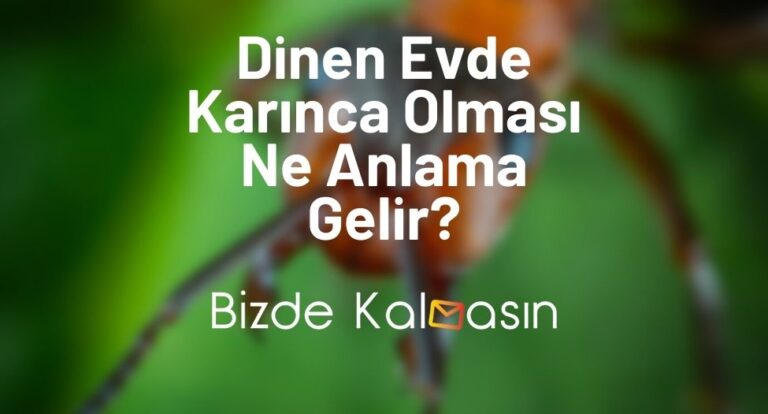 Dinen Evde Karınca Olması Ne Anlama Gelir?