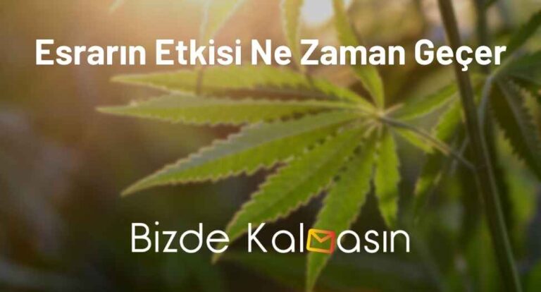 Esrarın Etkisi Ne Zaman Geçer? – Madde Bağımlılığı Ve Tedavisi!