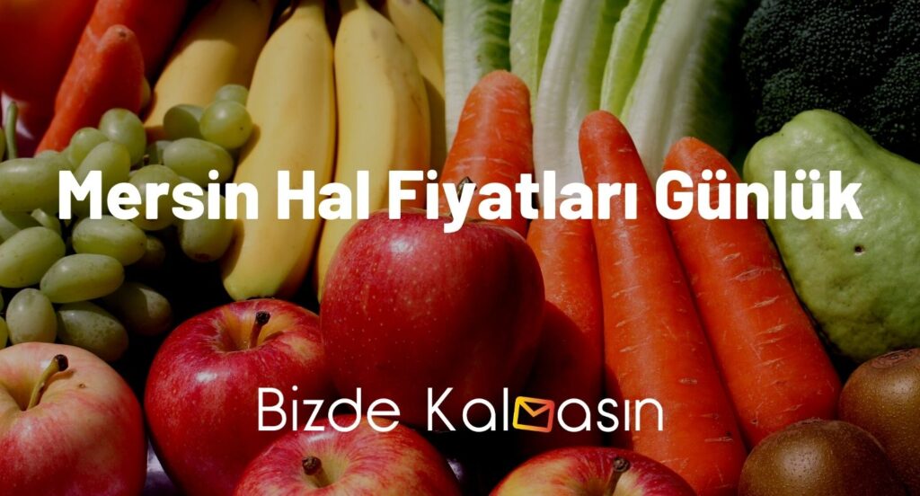 Mersin Hal Fiyatları Günlük