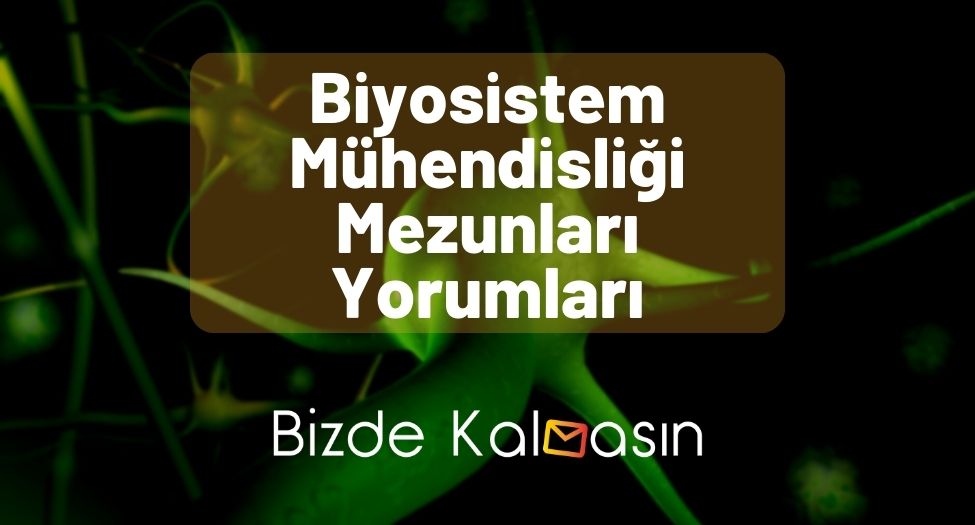 Biyosistem Mühendisliği Mezunları Yorumları