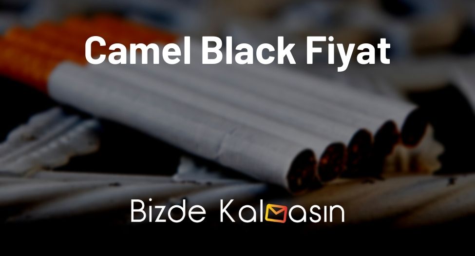 Camel Black Fiyat