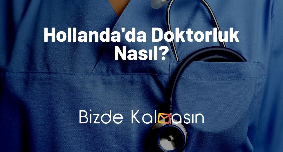 Hollanda'da Doktorluk