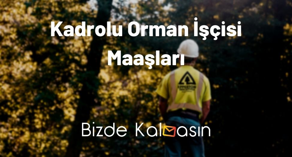 Kadrolu Orman İşçisi Maaşları