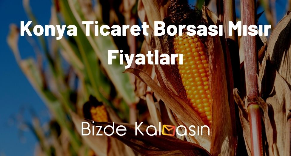 Konya Ticaret Borsası Mısır Fiyatları