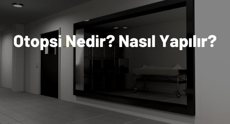 Otopsi Nedir? Nasıl Yapılır?