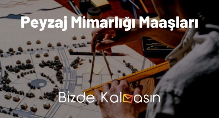 Peyzaj Mimarlığı Maaşları 2023 – Önü Açık Mı?