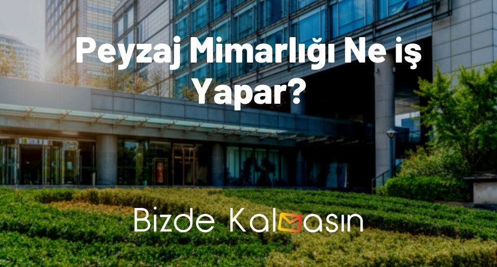 Peyzaj Mimarlığı Ne iş Yapar