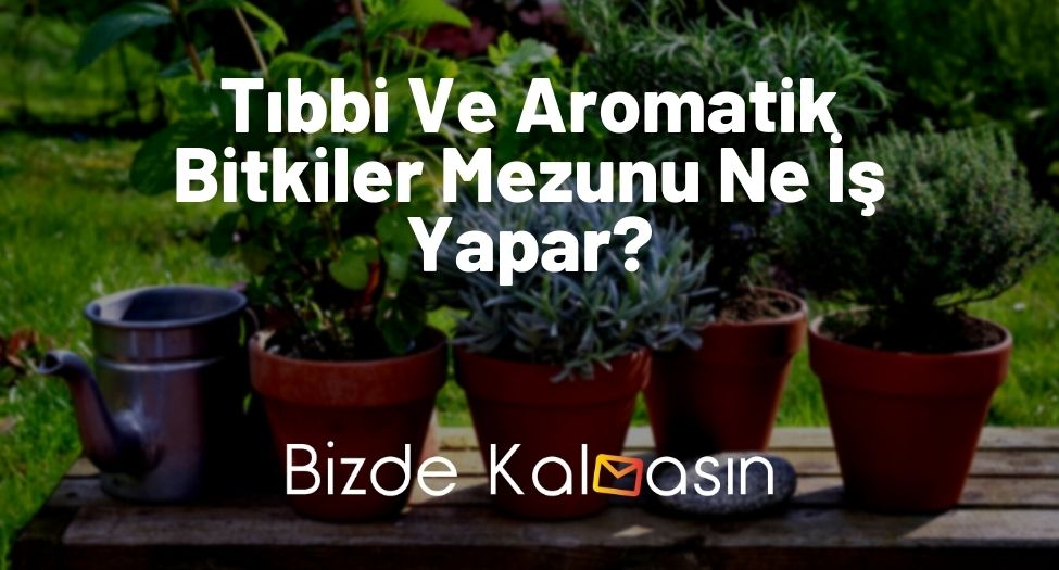 Tıbbi Ve Aromatik Bitkiler Mezunu Ne İş Yapar