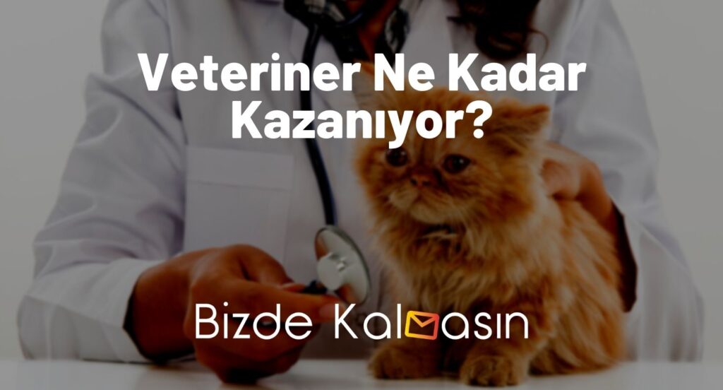 Veteriner Ne Kadar Kazanıyor?