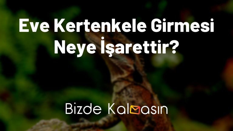 Eve Kertenkele Girmesi Neye İşarettir?