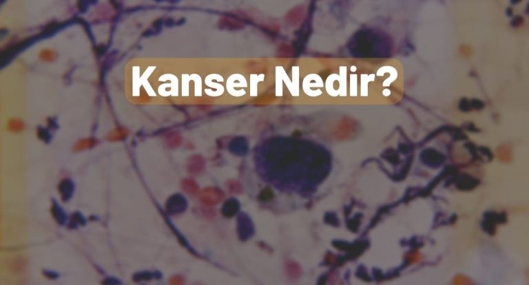 Kanser Nedir?