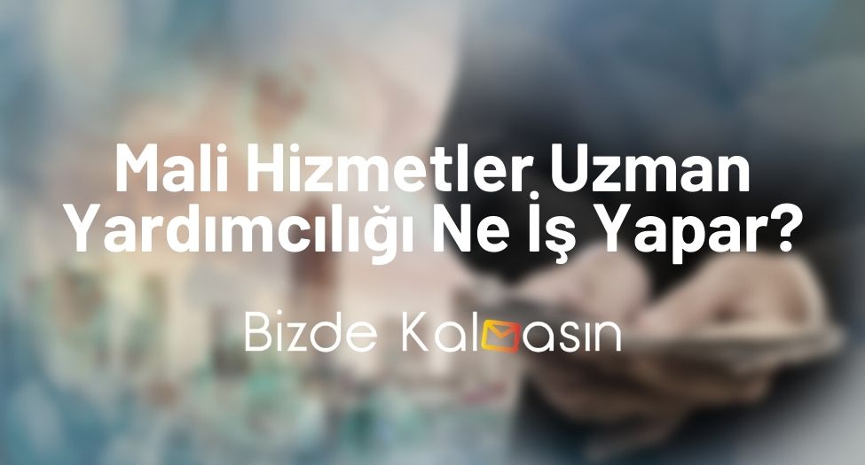 Mali Hizmetler Uzman Yardımcılığı Ne İş Yapar?