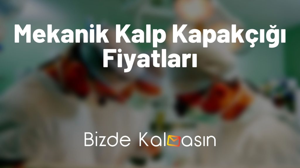 Mekanik Kalp Kapakçığı Fiyatları