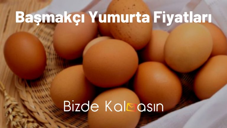 Başmakçı Yumurta Fiyatları 2023 – Tanesi Kaç Para?