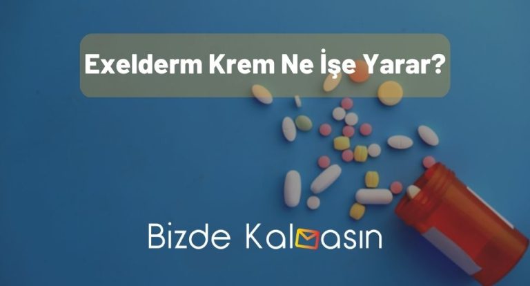 Exelderm Krem Ne İşe Yarar? – Sivilceye İyi Gelir Mi?