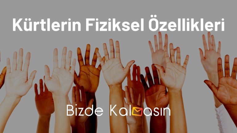 Kürtlerin Fiziksel Özellikleri – Merak Edilenler!