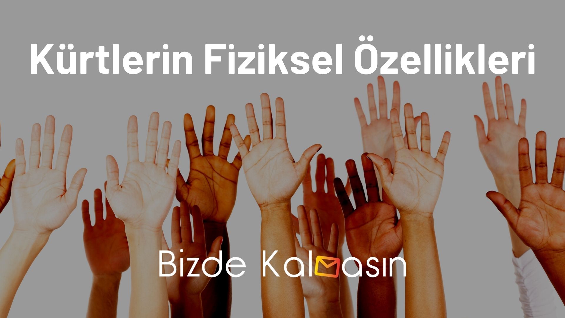 Kürtlerin Fiziksel Özellikleri
