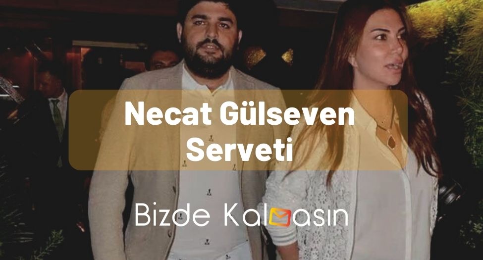 Necat Gülseven Serveti - Şirketleri Nelerdir? Necat Gülseven Serveti