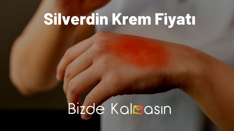 Silverdin Krem Fiyatı