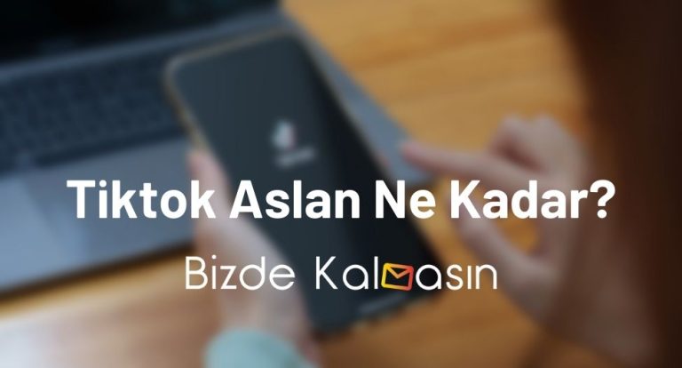 Tiktok Aslan Ne Kadar? Tiktok Hediye Fiyatları