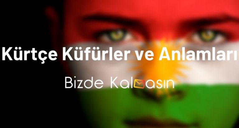 Kürtçe Küfürler ve Anlamları