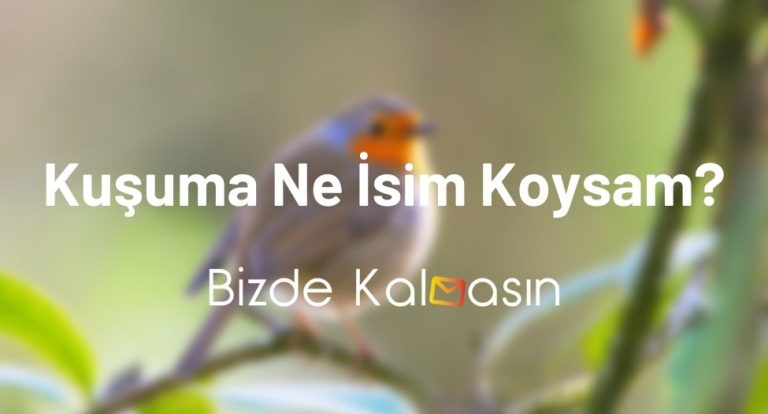 Kuşuma Ne İsim Koysam?