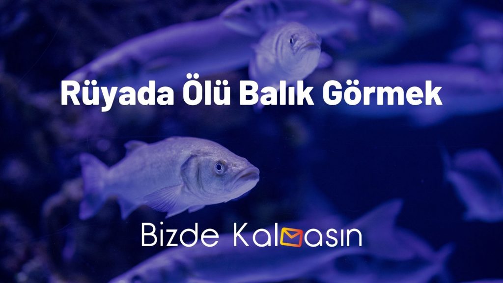 Rüyada Ölü Balık Görmek