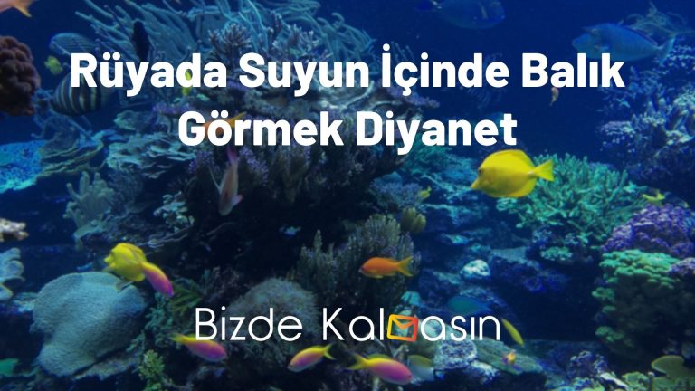 Rüyada Suyun İçinde Balık Görmek Diyanet – Ne Anlama Gelir?