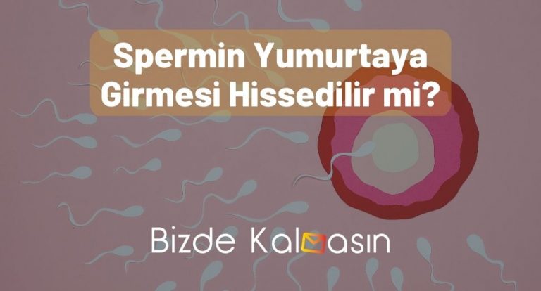 Spermin Yumurtaya Girmesi Hissedilir mi?