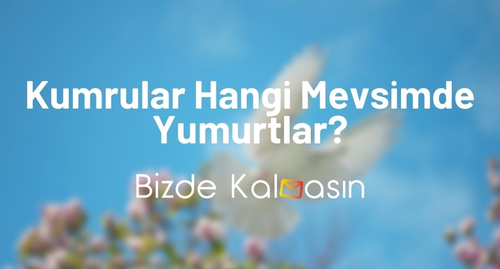 Kumrular Hangi Mevsimde Yumurtlar?