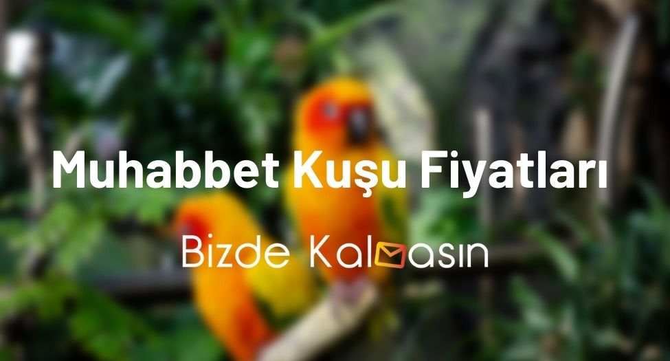 Muhabbet Kuşu Fiyatları