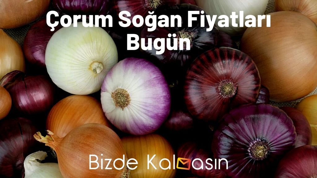 Çorum Soğan Fiyatları Bugün