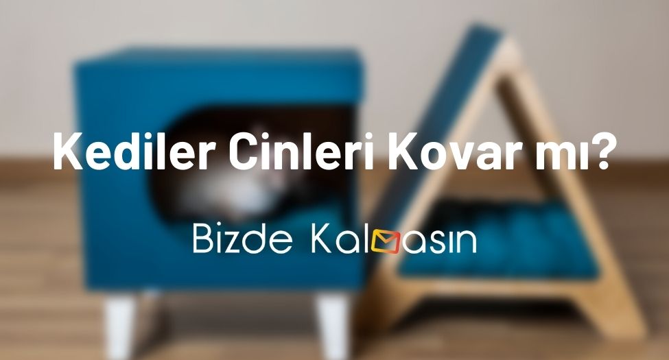 Kediler Cinleri Kovar mı?