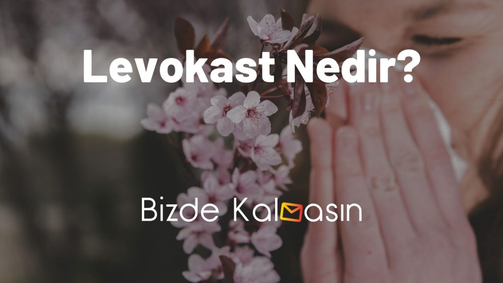 Levokast Nedir