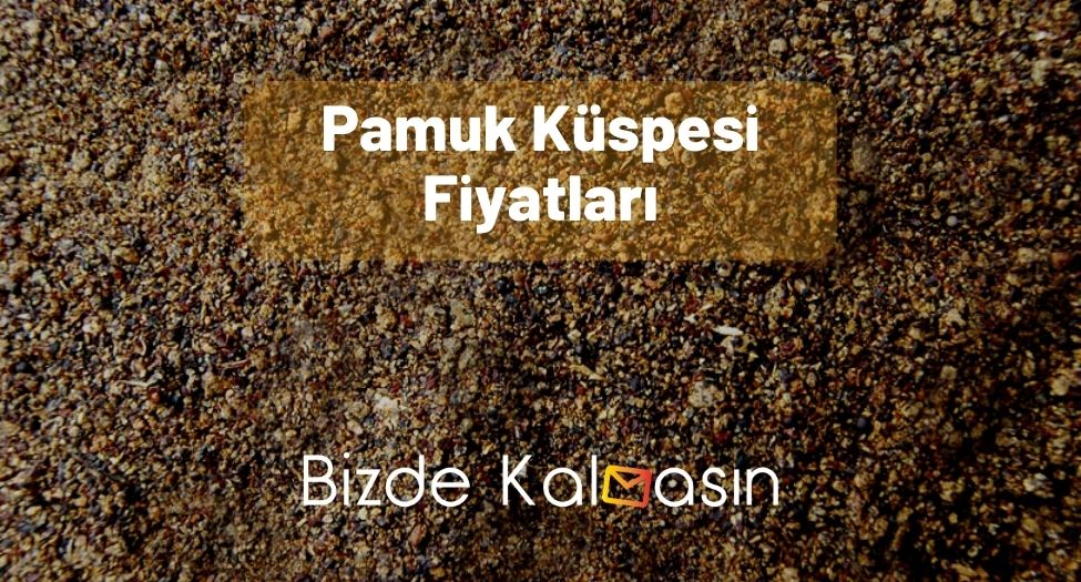 Pamuk Küspesi Fiyatları - Güncel! Pamuk Küspesi Fiyatları