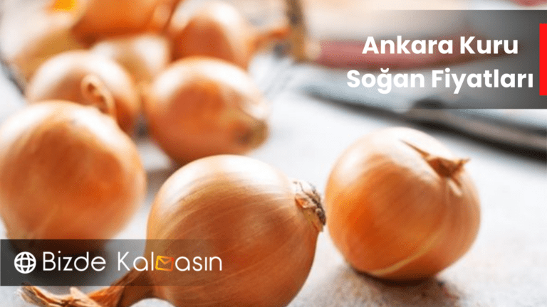 Ankara Kuru Soğan Fiyatları 2025 Soğan Fiyatlarının Belirlenmesi