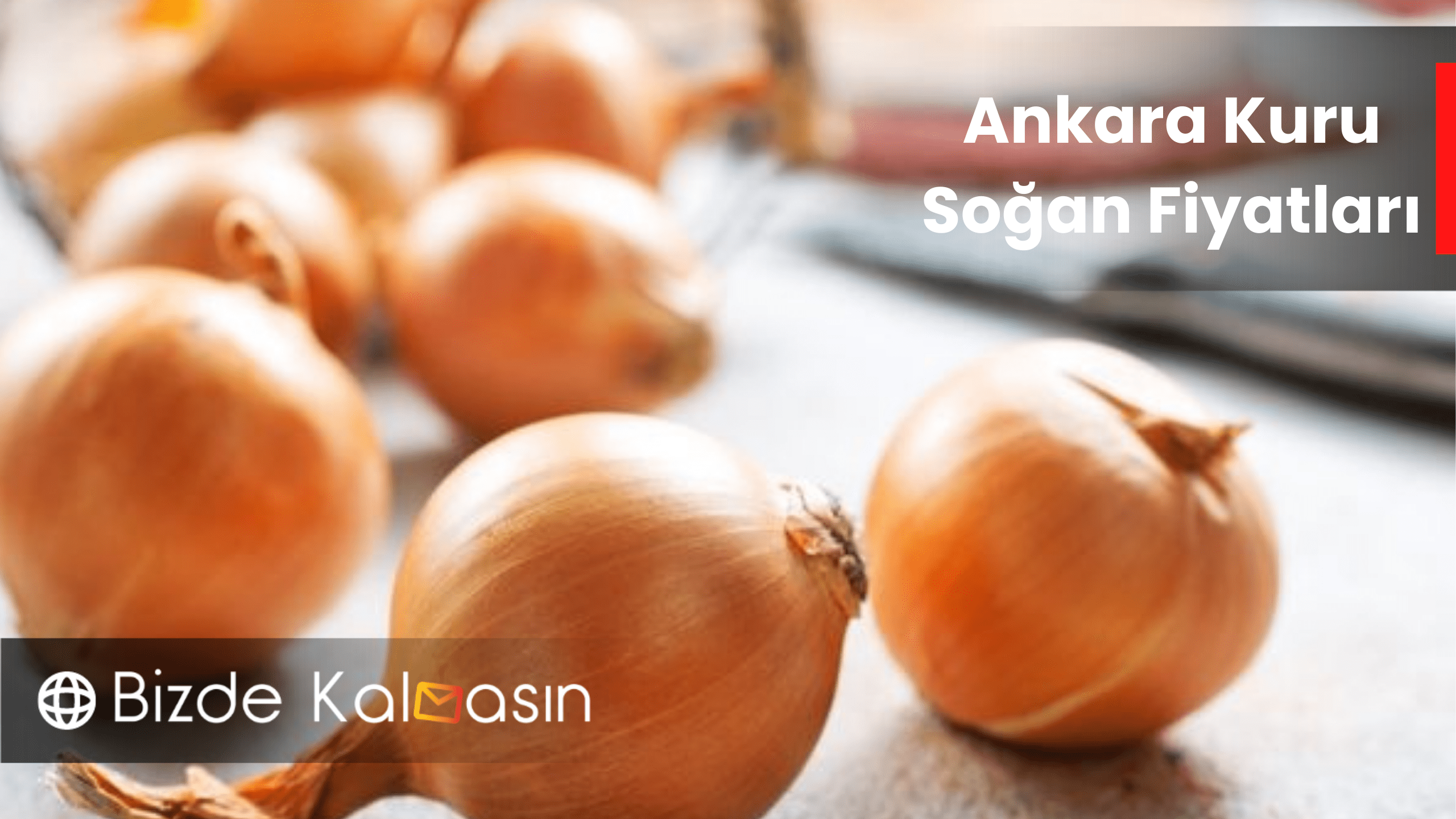 Ankara Kuru Soğan Fiyatları 2025 Soğan Fiyatlarının Belirlenmesi Ankara Kuru Soğan Fiyatları