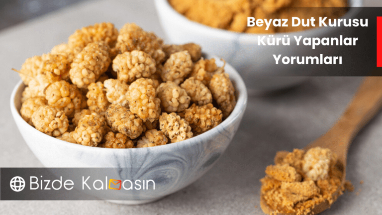 beyaz dut kurusu kürü yapanlar yorumları