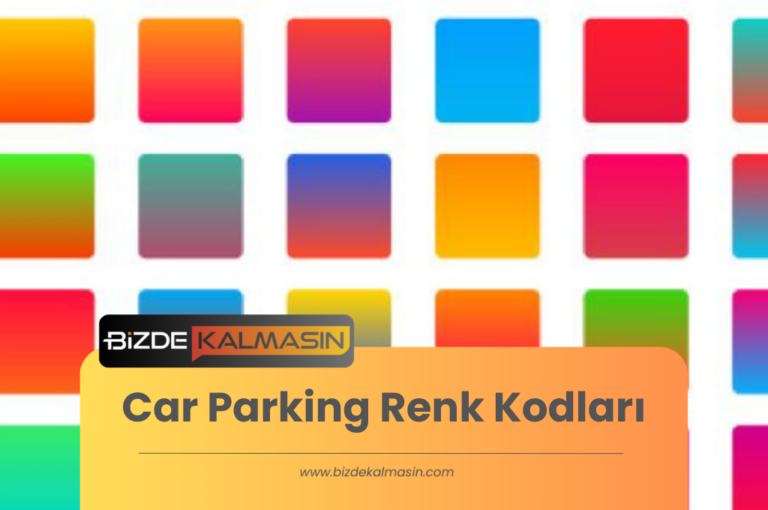 Car Parking Renk Kodları