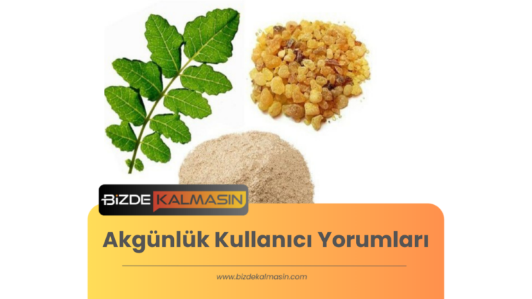 Akgünlük Kullanıcı Yorumları