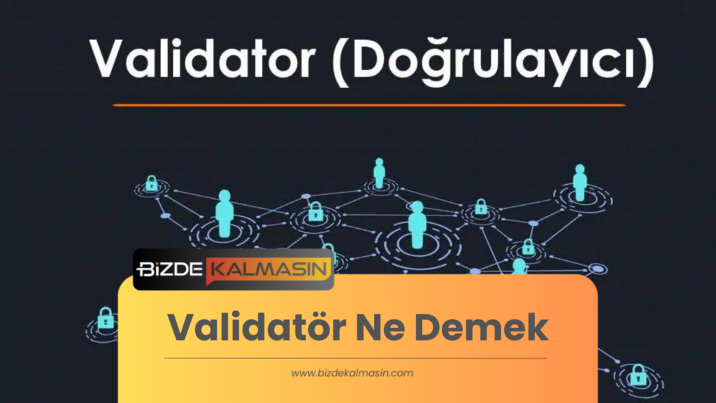 Validatör Ne Demek