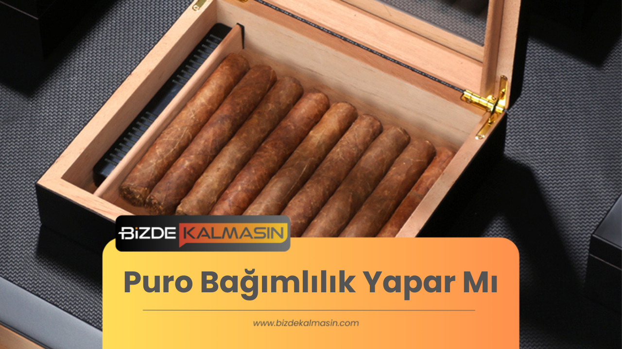 Puro Bağımlılık Yapar Mı ? - Nikotin Sakızı Kullanmak Puro Bağımlılık Yapar Mı