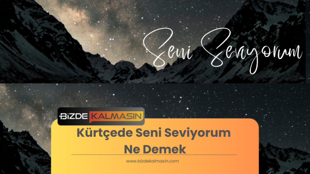 Kürtçede Seni Seviyorum Ne Demek