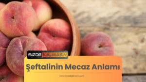 Şeftalinin Mecaz Anlamı