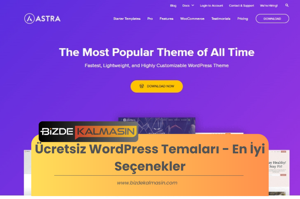 Ücretsiz WordPress Temaları - En İyi Seçenekler