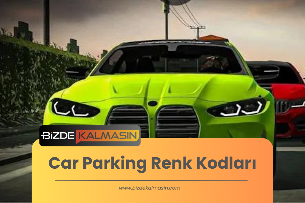 Car Parking Renk Kodları