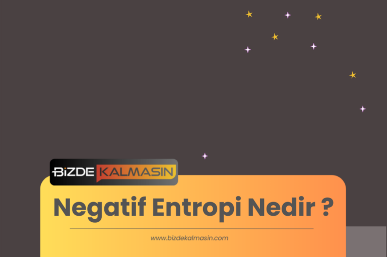 Negatif Entropi Nedir ? – Psikolojide Entropi Nedir ?