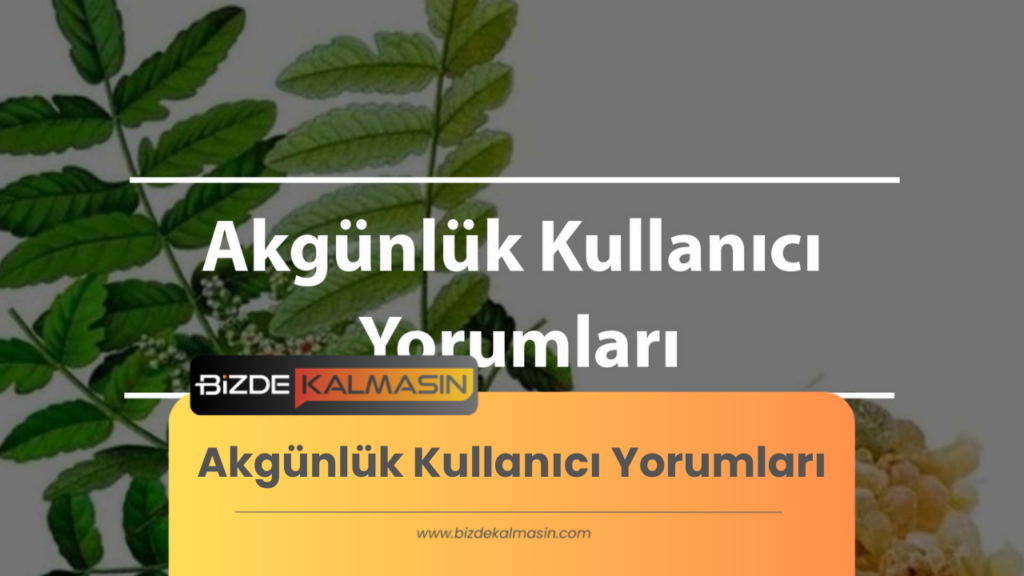 Akgünlük Kullanıcı Yorumları