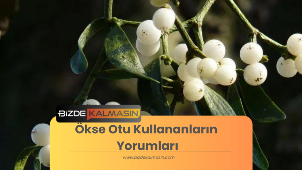 Ökse Otu Kullananların Yorumları